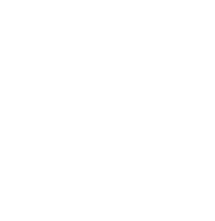 Execution